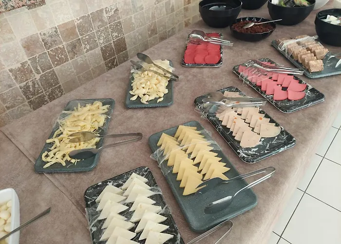 Celeste 费特希耶