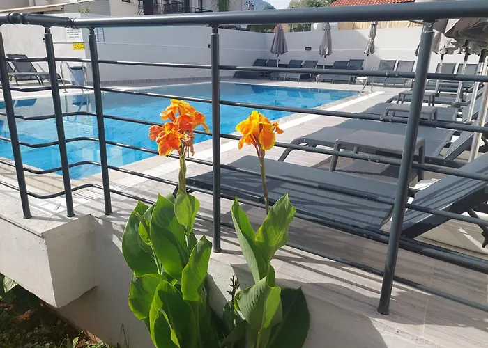 Celeste * 费特希耶