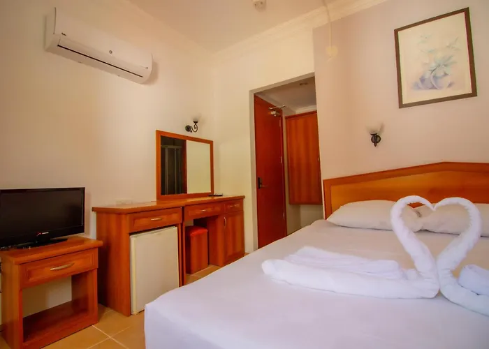 Celeste * 费特希耶