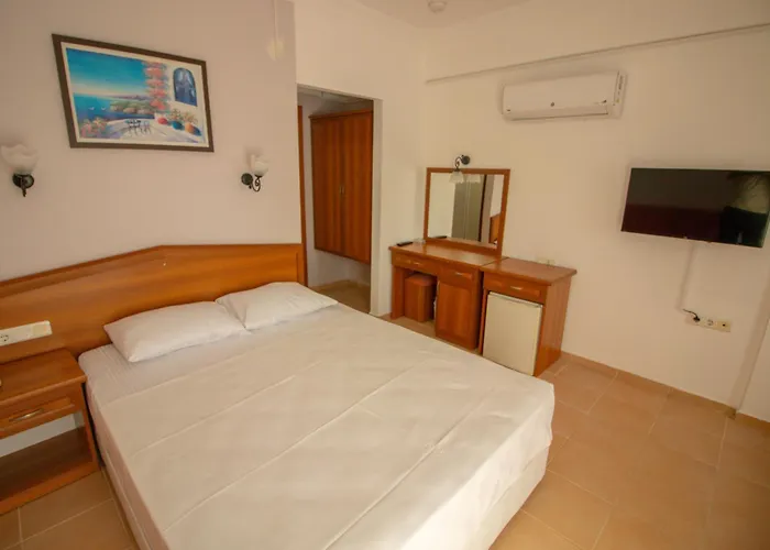 Celeste 费特希耶