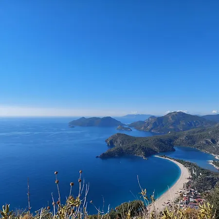 Celeste Ξενοδοχείο